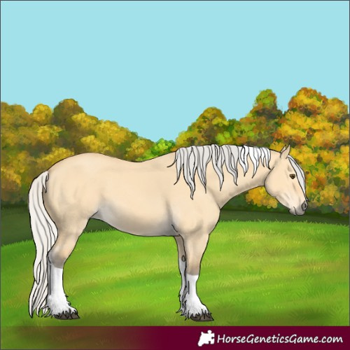Horse Color:Silver Buckskin Dun Tobiano 