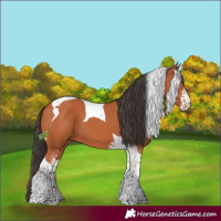 Horse Color:Bay Sabino Tobiano 