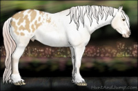 Horse Color:Palomino Dun Frame Varnish 