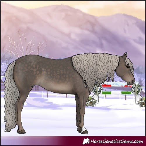 Horse Color:Silver Black 