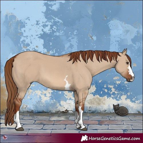 Horse Color:Red Dun 