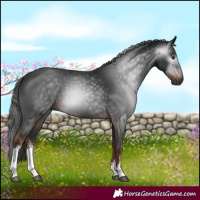 Horse Color:Gray White Spotted Liver Chestnut 