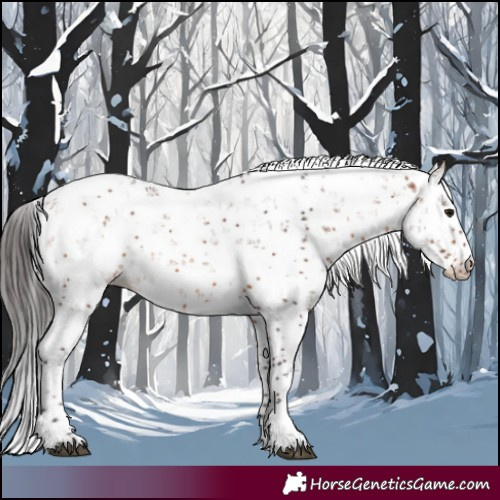 Horse Color:Bay Sabino
