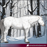 Horse Color:Bay Sabino 