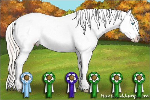 Horse Color:Palomino Pearl Snowcap