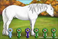 Horse Color:Palomino Pearl Snowcap