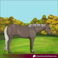 Horse Color:Silver Black 