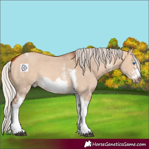Horse Color:Silver Bay Dun Sabino Tobiano Frame Rabicano