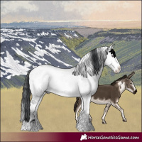 Horse Color:White Spotted Brown Chinchilla Onyx Sabino Rabicano