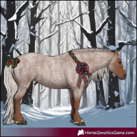 Horse Color:Silver Blue Roan 
