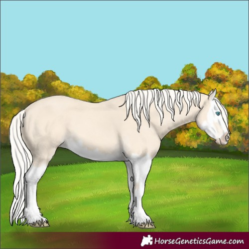 Horse Color:Cremello Splash  and Cremello Splash 