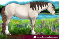 Horse Color:Sable Champagne Pearl Dun Sabino Tobiano