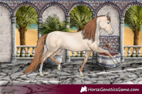 Horse Color:Sable Champagne Pearl Dun Sabino Tobiano 