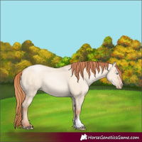 Horse Color:Sable Champagne Pearl Dun Sabino Tobiano 