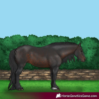 Horse Color:Brown 