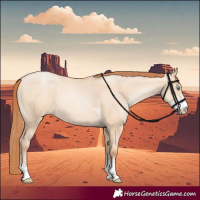 Horse Color:Sable Champagne Pearl Dun Sabino Tobiano