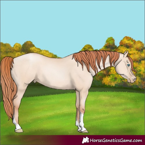 Horse Color:Sable Champagne Pearl Dun Sabino Tobiano Rabicano