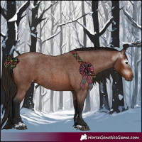 Horse Color:Gray Bay Roan Sabino Rabicano  and Gray Bay Roan Sabino Appaloosa Rabicano 