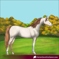 Horse Color:Sable Champagne Pearl Dun Sabino Tobiano