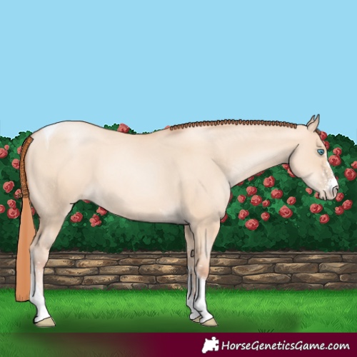 Horse Color:Sable Champagne Pearl Dun Sabino Tobiano
