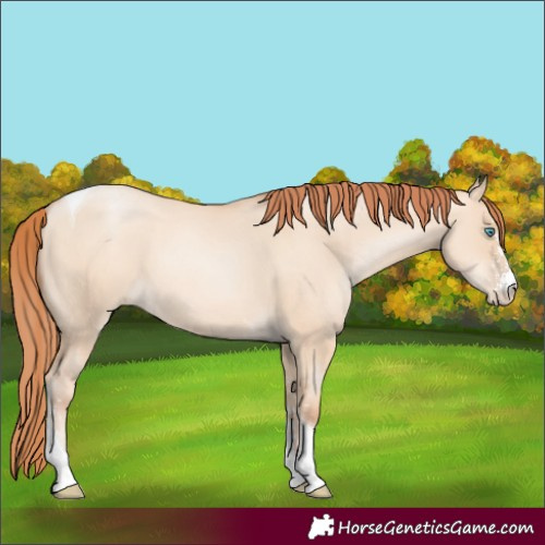 Horse Color:Sable Champagne Pearl Dun Sabino Tobiano 