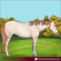 Horse Color:Sable Champagne Pearl Dun Sabino Tobiano 