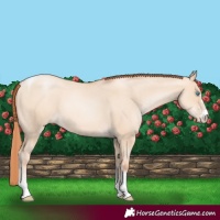 Horse Color:Sable Champagne Pearl Dun Sabino Tobiano