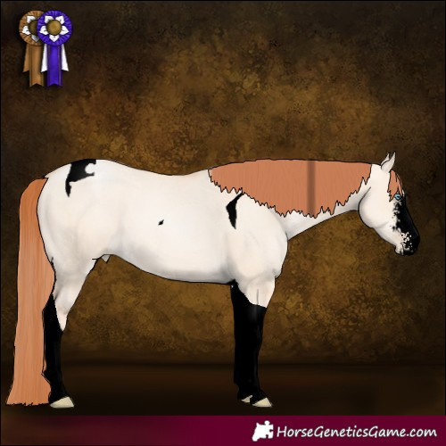 Horse Color:Void Sable Champagne Pearl Dun Sabino Tobiano 