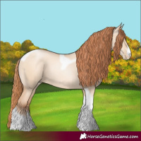 Horse Color:Classic Champagne Pearl Dun Sabino Tobiano