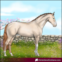 Horse Color:Sable Champagne Pearl Dun Sabino Tobiano