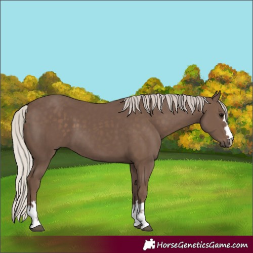 Horse Color:Silver Black