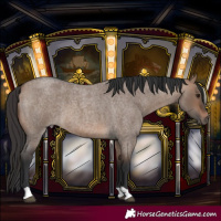 Horse Color:Brown Roan Dun 
