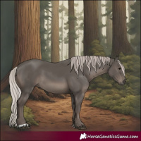Horse Color:Silver Black 