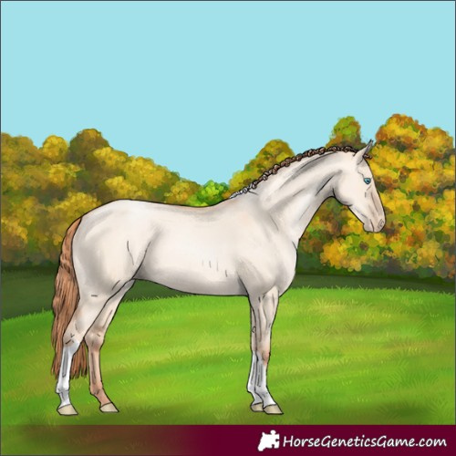 Horse Color:Sable Champagne Pearl Dun Sabino Tobiano 