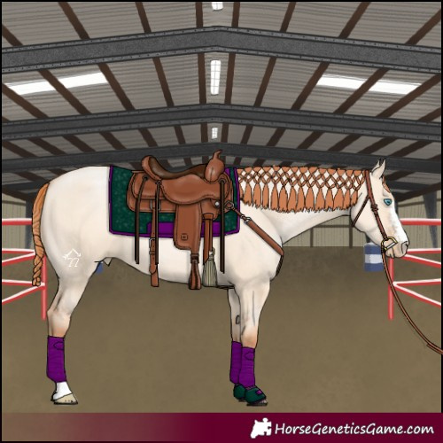 Horse Color:Sable Champagne Pearl Dun Sabino Tobiano