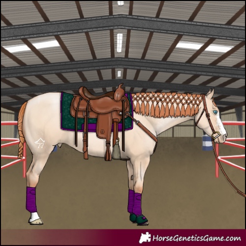 Horse Color:Sable Champagne Pearl Dun Sabino Tobiano 
