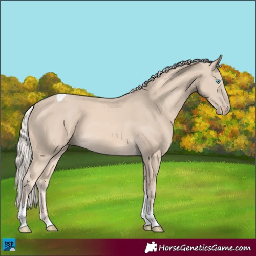 Horse Color:Cremello Tobiano 