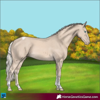 Horse Color:Cremello Tobiano