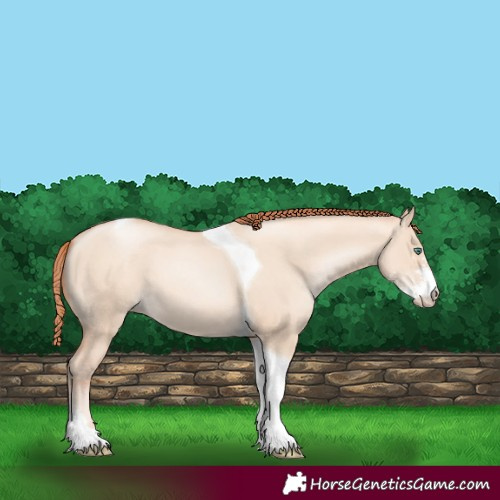 Horse Color:Classic Champagne Pearl Dun Sabino Tobiano 