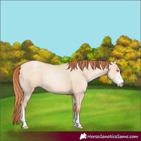 Horse Color:Sable Champagne Pearl Dun Sabino Tobiano 