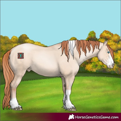 Horse Color:Sable Champagne Pearl Dun Sabino Tobiano 