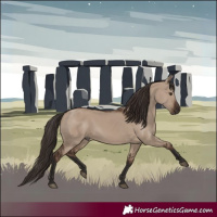 Horse Color:Liver Red Dun Rabicano