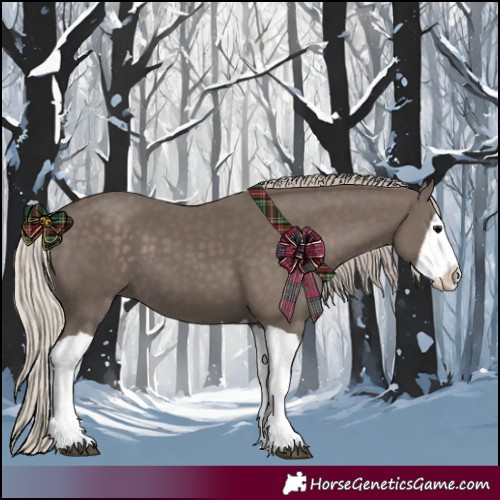 Horse Color:Silver Black Splash