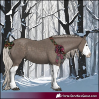 Horse Color:Silver Black Splash 