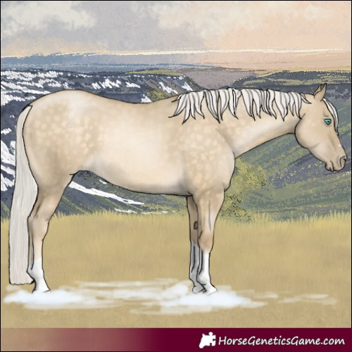 Horse Color:Silver Buckskin Pearl Dun Tobiano 