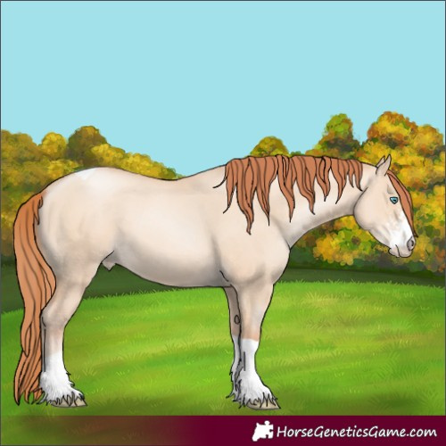 Horse Color:Sable Champagne Pearl Dun Sabino Tobiano