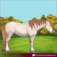 Horse Color:Sable Champagne Pearl Dun Sabino Tobiano