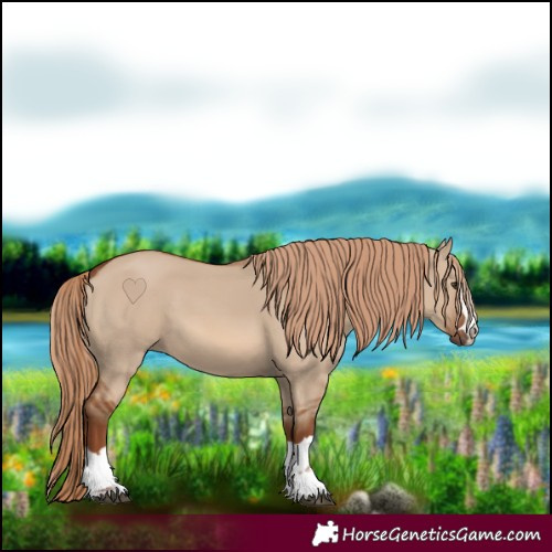 Horse Color:Red Dun 