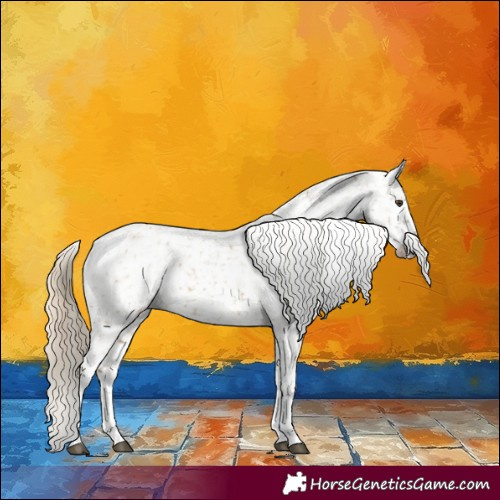 Horse Color:Powder White Chocolate Palomino Dun Appaloosa and Powder White Chocolate Palomino Dun Appaloosa