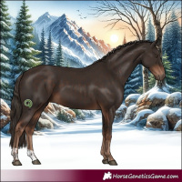 Horse Color:Liver Chestnut  and Liver Chestnut 